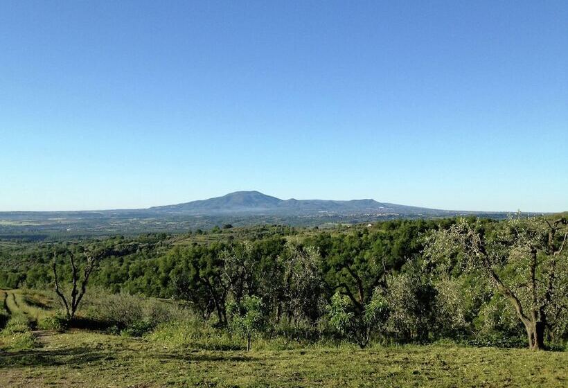Cozy Cottage In Graffignano Italy With Swimming Pool