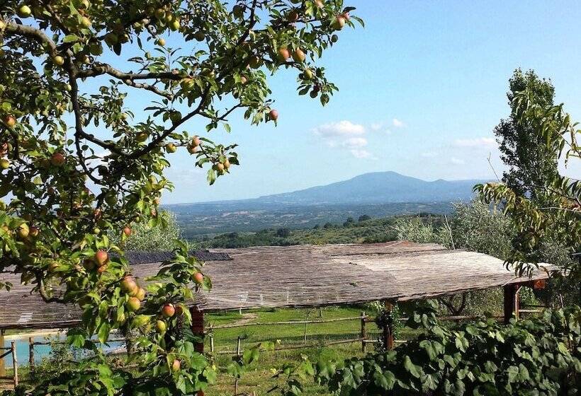 Cozy Cottage In Graffignano Italy With Swimming Pool