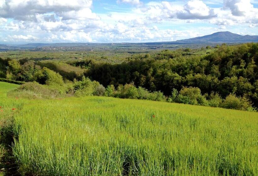 Cozy Cottage In Graffignano Italy With Swimming Pool