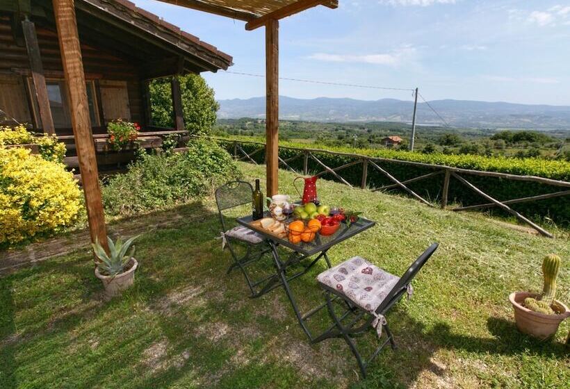 Cozy Cottage In Graffignano Italy With Swimming Pool