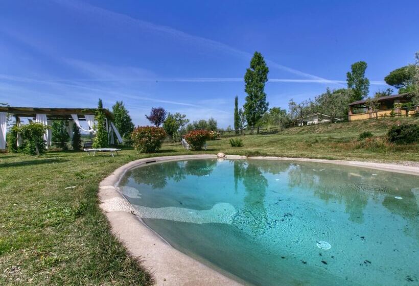 Cozy Cottage In Graffignano Italy With Swimming Pool