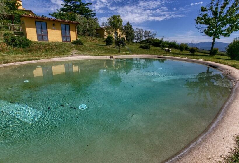 Cozy Cottage In Graffignano Italy With Swimming Pool