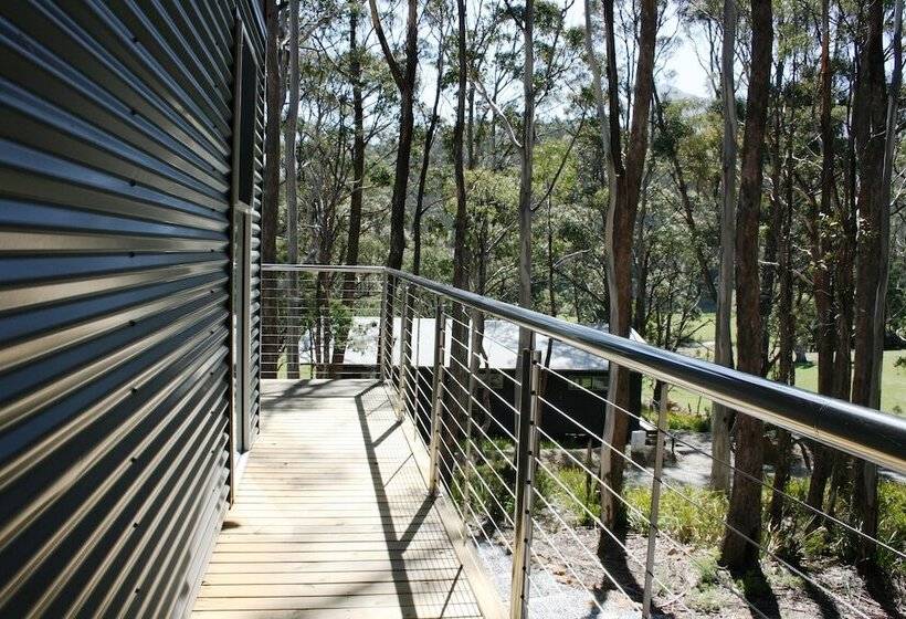 Craggy Peaks Wilderness Cabins