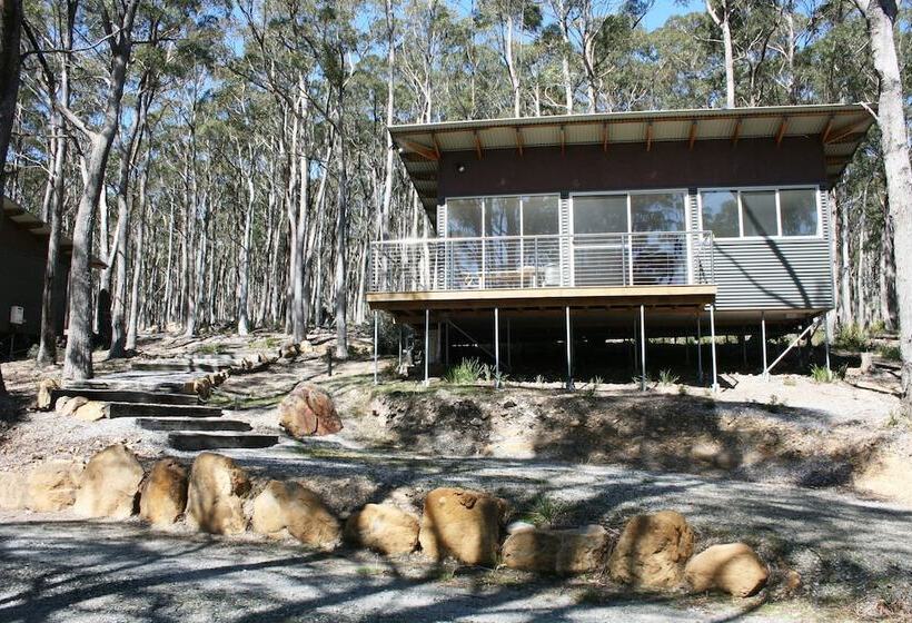 Craggy Peaks Wilderness Cabins