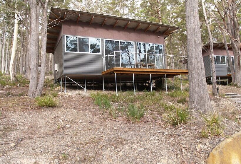 Craggy Peaks Wilderness Cabins