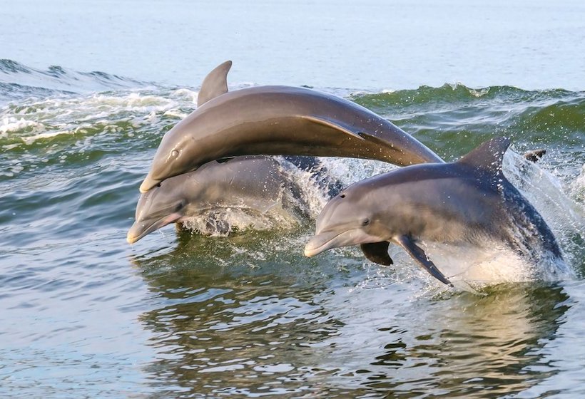 Culburra Beach House