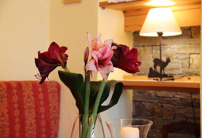 בית מלון כפרי Albergo Edelweiss   Larespa