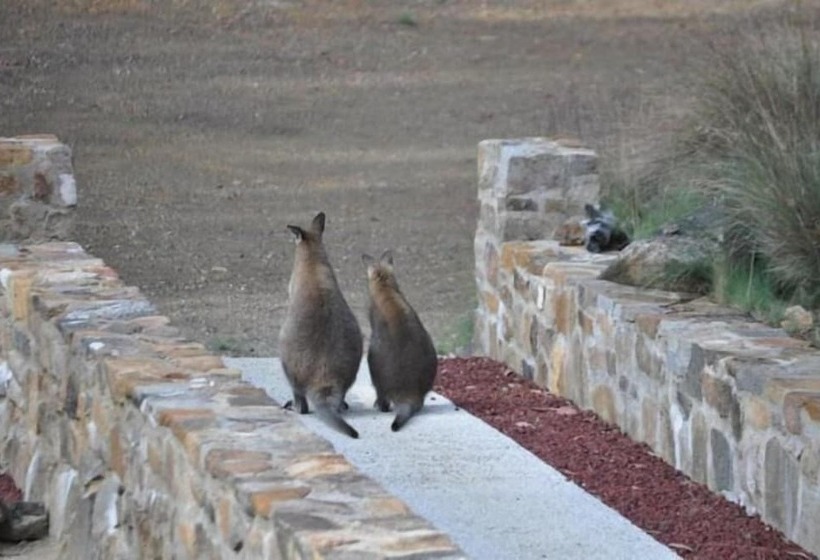 בית מלון כפרי Blue Lake Lodge