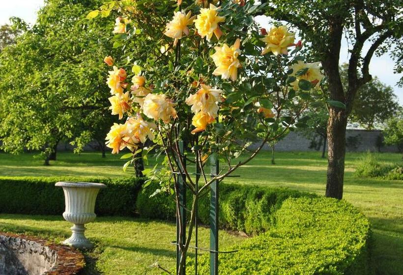 בית מלון כפרי Chateau La Touanne Loire Valley