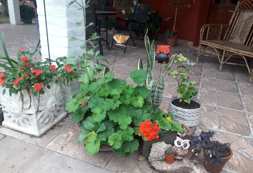 酒店 De Campo El Rebenque