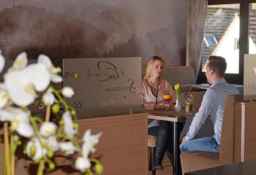 호텔 Die Kleine Blume