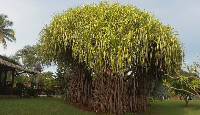 호텔 Guacamaya Lodge