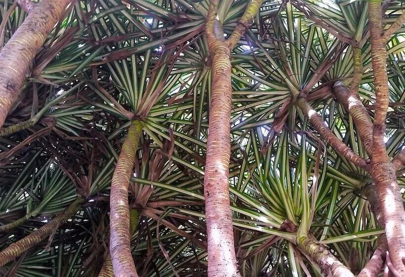 호텔 Guacamaya Lodge