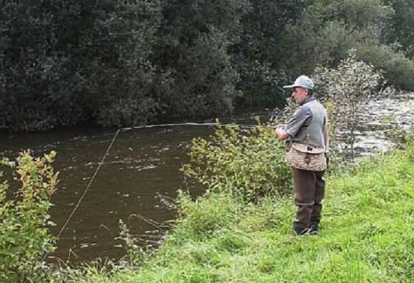 ホテル Haus Kylltal