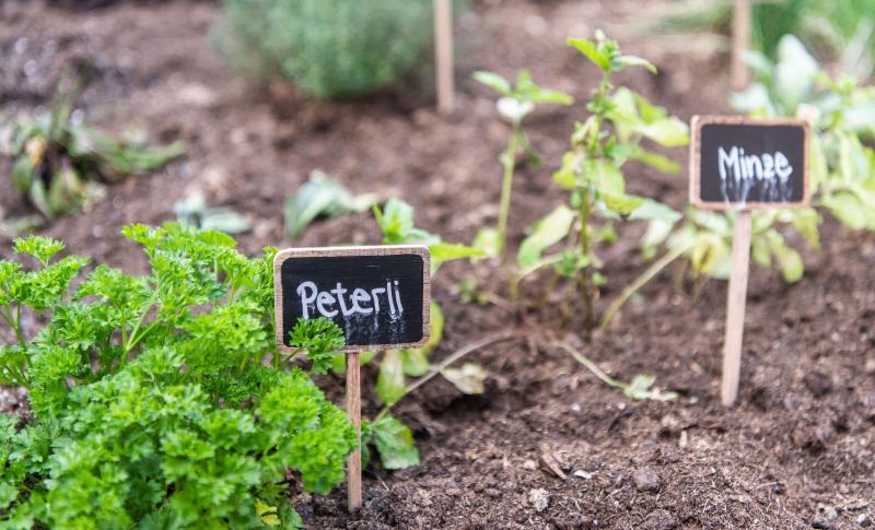 La Tgoma   Hotel & Restaurant