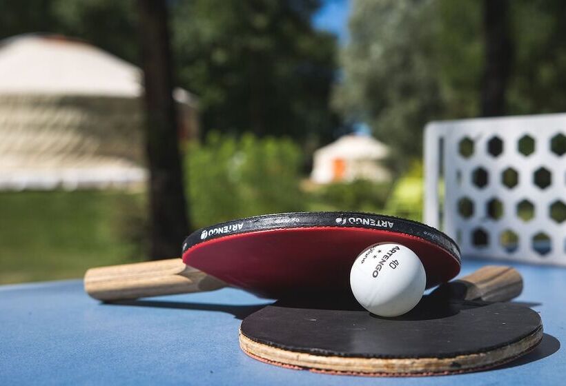 בית מלון כפרי L'escale Des Châteaux De La Loire