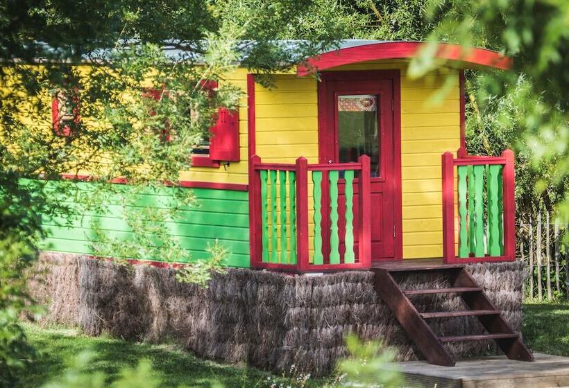 בית מלון כפרי L'escale Des Châteaux De La Loire