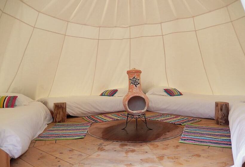 בית מלון כפרי L'escale Des Châteaux De La Loire