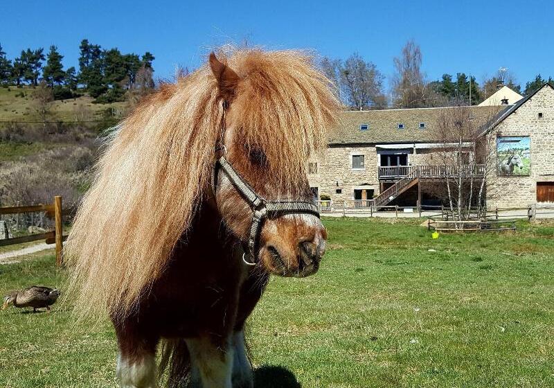 فندق Logis Hôtels Les Granges De Bigose