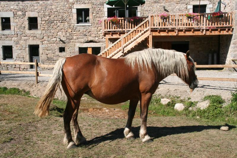 فندق Logis Hôtels Les Granges De Bigose