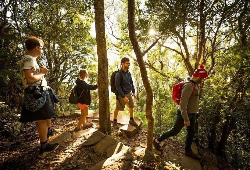 فندق Mt Warning Rainforest Park