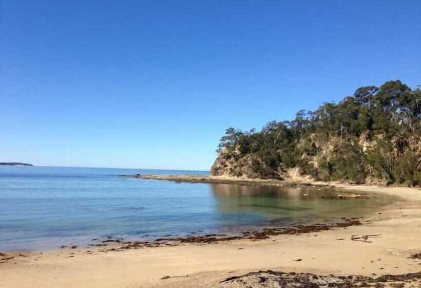 בית מלון כפרי Pleasurelea Tourist Resort & Caravan Park