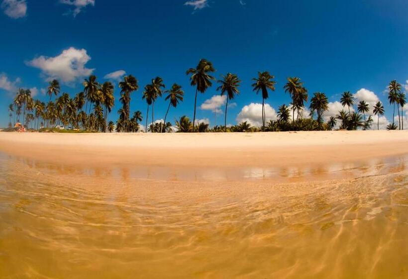 בית מלון כפרי Pousada Aconchego