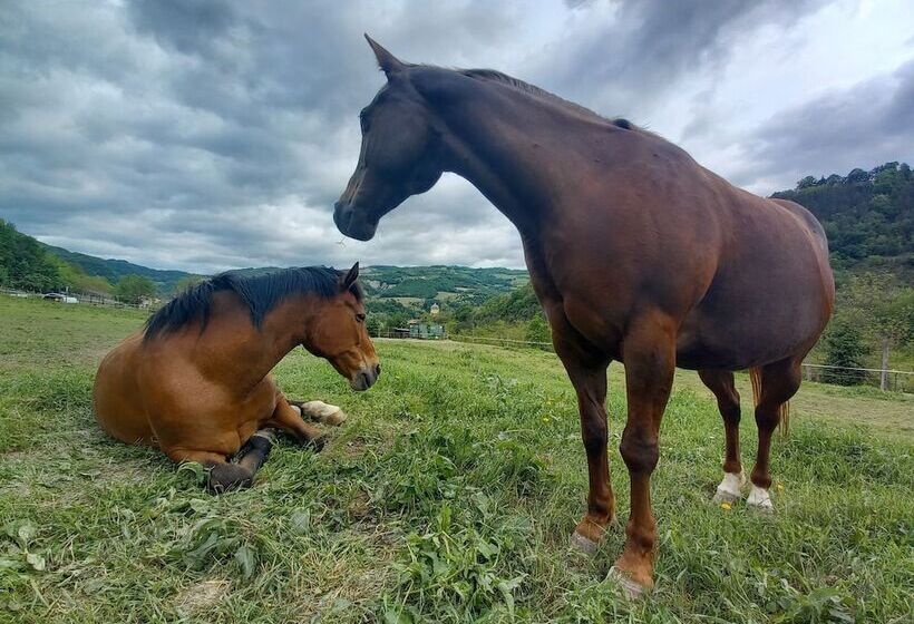 בית מלון כפרי Agriturismo Campo Rosso