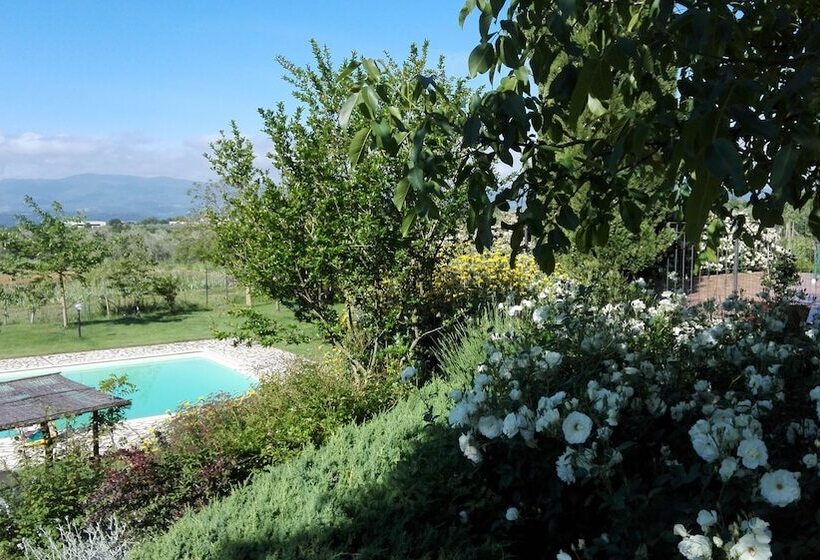 Сельский отель Agriturismo Gravanella