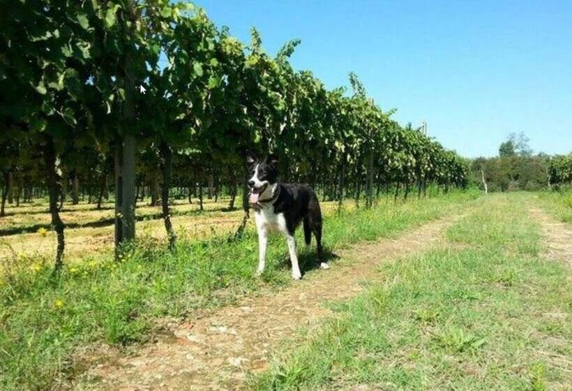 Сельский отель Agriturismo Gravanella