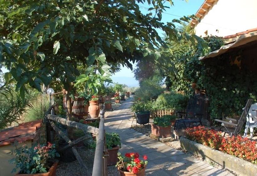 Сельский отель Agriturismo Gravanella