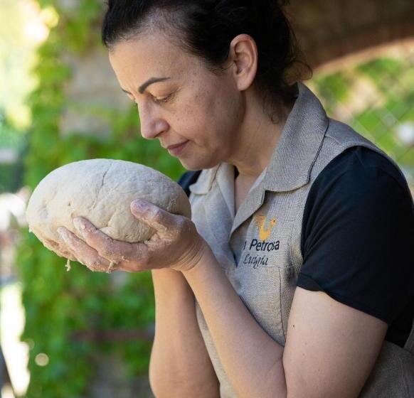 فندق ريفى Agriturismo La Petrosa