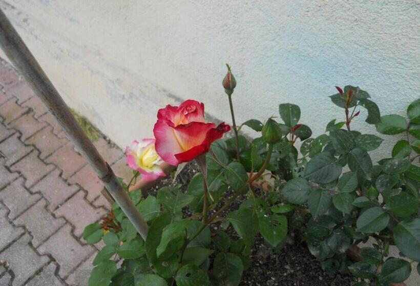 בית מלון כפרי Agriturismo Monti Sibillini Camperato