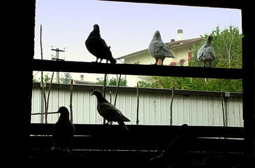 בית מלון כפרי Agriturismo Monti Sibillini Camperato