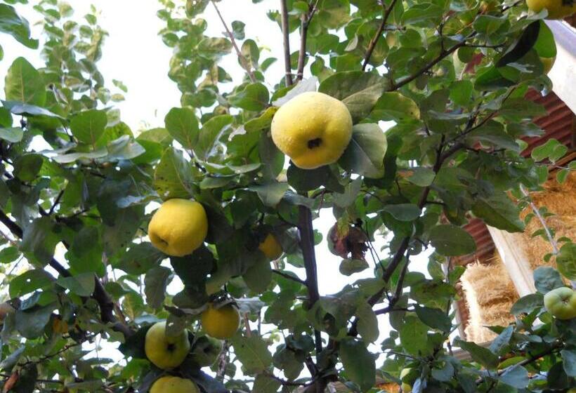 בית מלון כפרי Agriturismo Monti Sibillini Camperato