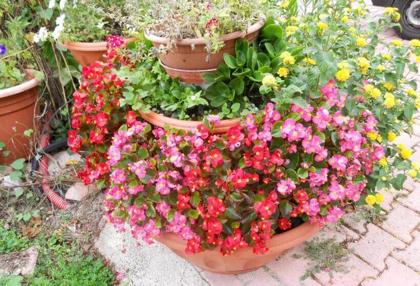 בית מלון כפרי Agriturismo Monti Sibillini Camperato