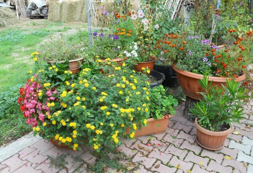 בית מלון כפרי Agriturismo Monti Sibillini Camperato