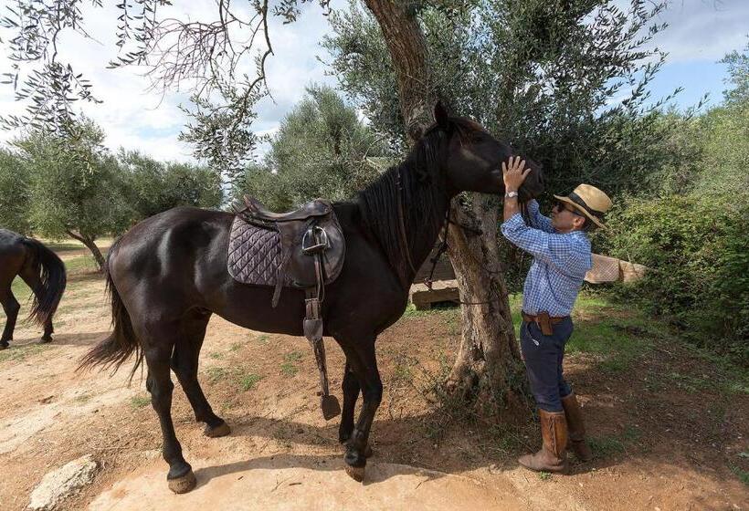 בית מלון כפרי Casale Del Forno