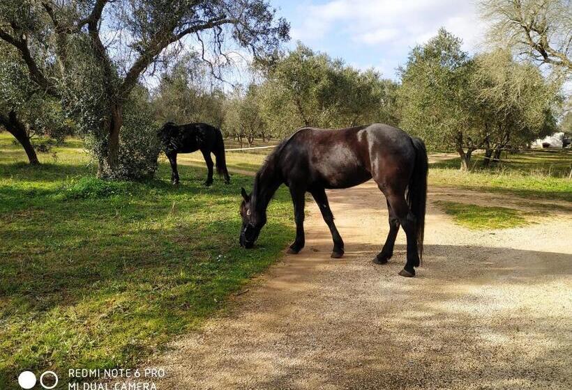 בית מלון כפרי Casale Del Forno