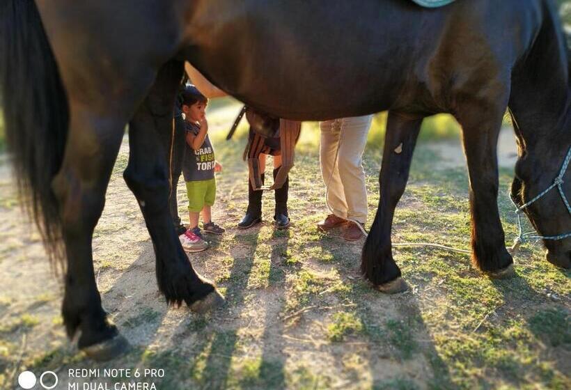 בית מלון כפרי Casale Del Forno