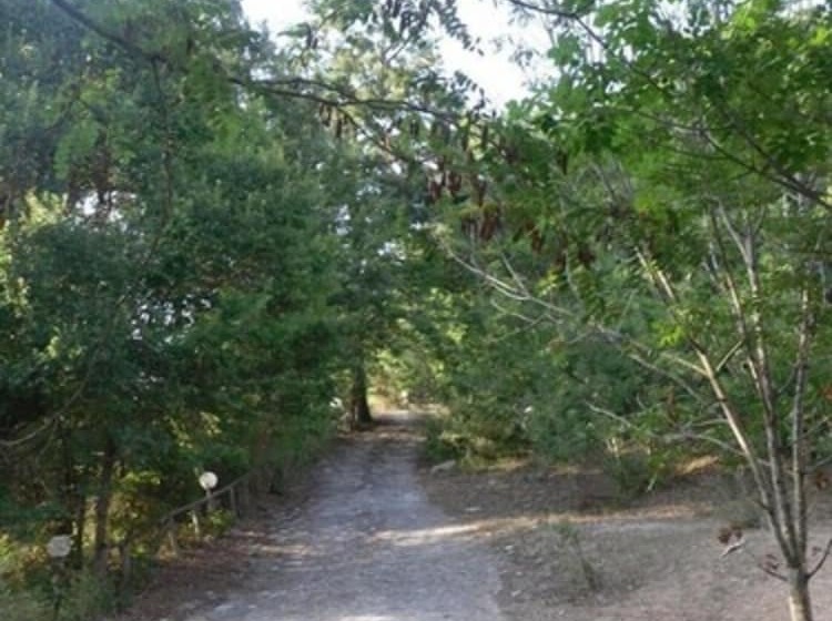 בית מלון כפרי Le Dieci Querce