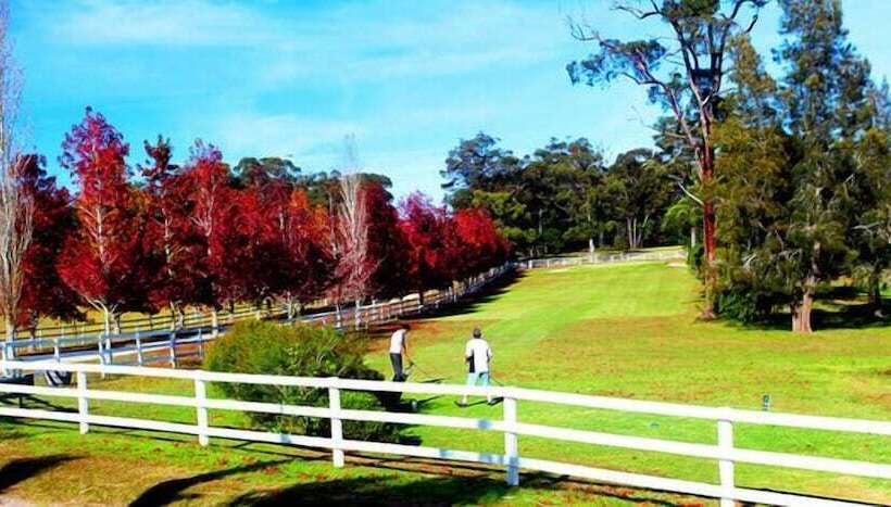 هتل The Oaks Ranch