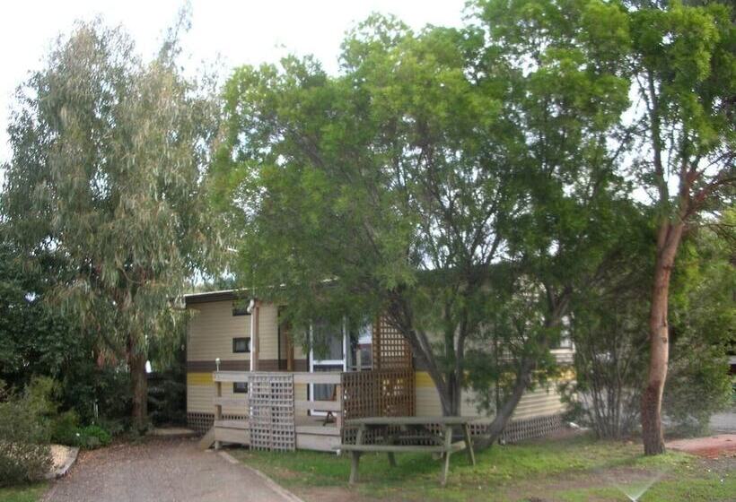 فندق Triabunna Cabin & Caravan Park