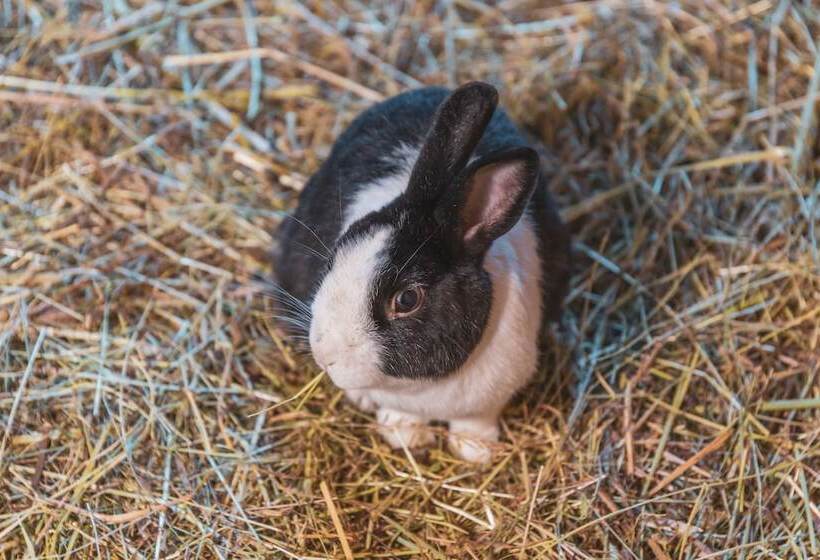 בית מלון כפרי Tuberis Nature & Spa Resort