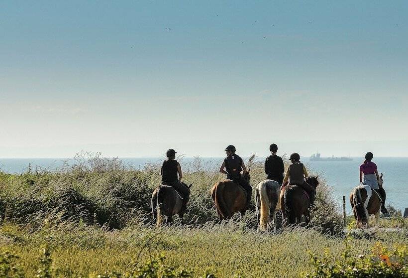 Les Cabanes De Warincthun