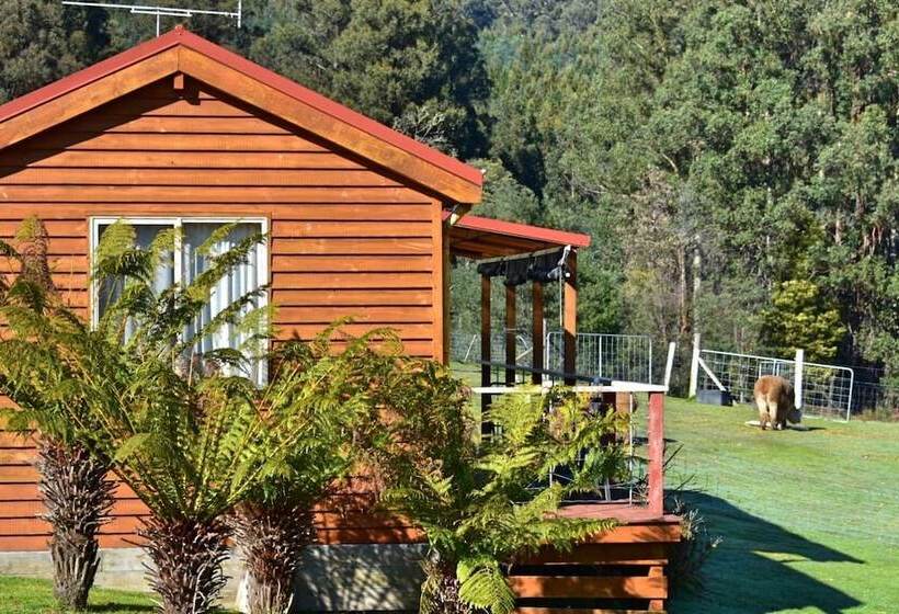 Maydena Mountain Cabins