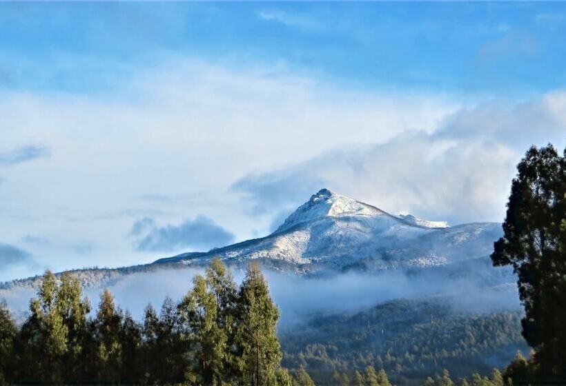 Maydena Mountain Cabins