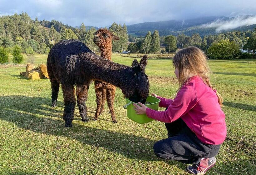 Maydena Mountain Cabins