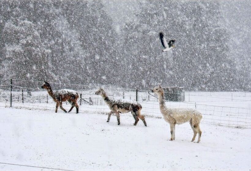 Maydena Mountain Cabins