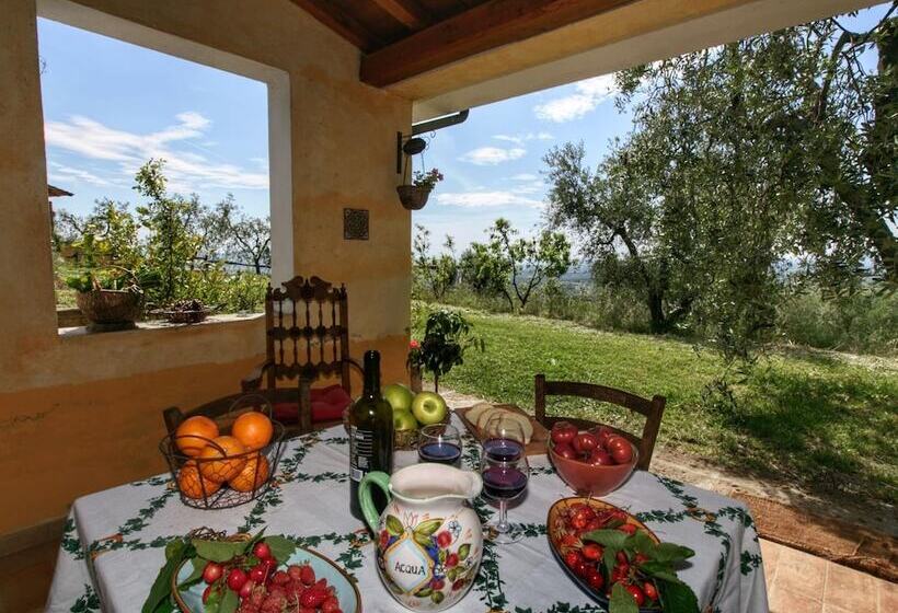 Modern Cottage In Graffignano Italy With Swimming Pool